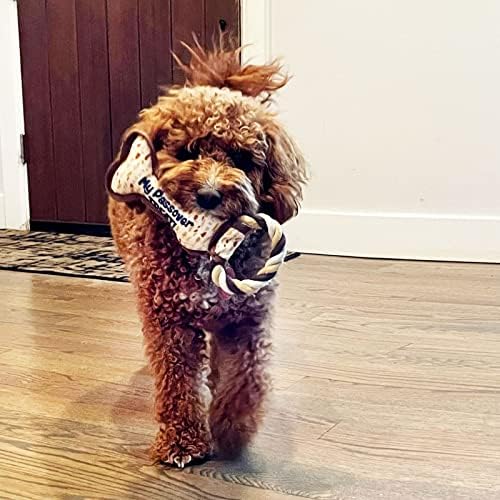 Rite Lite Chewdaica Passover Bone Squeaky Dog Toy Matzah Design Pesach Seder Gifts for Dog Owners Tough & Durable with Chew Pull Rope Jewish Holiday Party Favors Haggadah Dog Accessories 9" L