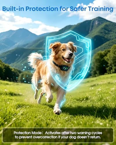 GPS Wireless Dog Fence for Dogs 18+ lbs, 33–1999 Yard Range, XL