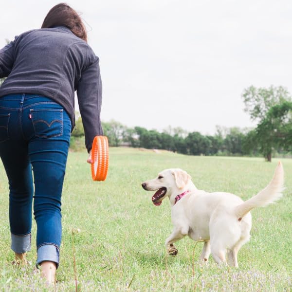 Chuckit! Rugged Fetch Wheel Dog Toy Medium