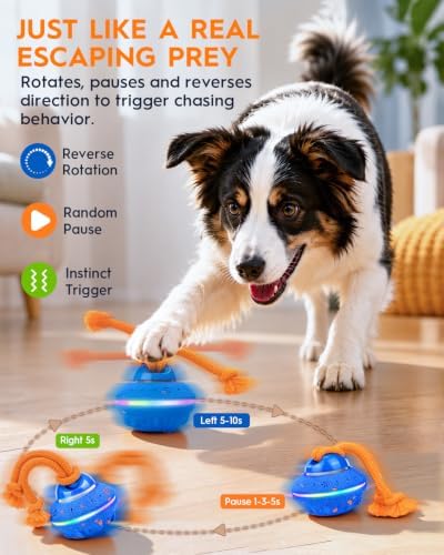 Xeuch Interactive Dog Ball Toy, ETPU Rotating Motion, Rechargeable | 3 Play Modes, Bird Chirping Sounds, 7 LED Lights, ETPU Shell, Rope Design, Rechargeable Battery, for Small and Medium Dogs