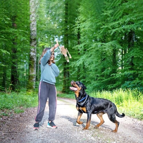Fuzzl Eco Leather Dudley Duck Toy Natural and Tough Dog Toys - Long Lasting Chew Toys for Aggressive Chewers - Strong Dog Toy for Dogs and Puppy