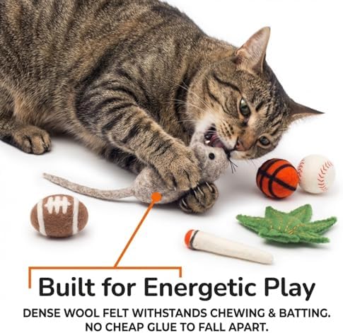 Glaciart One Felt Cat Toys Set (6pc) – Handmade Wool Catnip Toys for Indoor Cats | Eco-Friendly Natural Wool Balls, Mouse & Joint Toys | Durable Cat Enrichment Toys for Exercise & Play