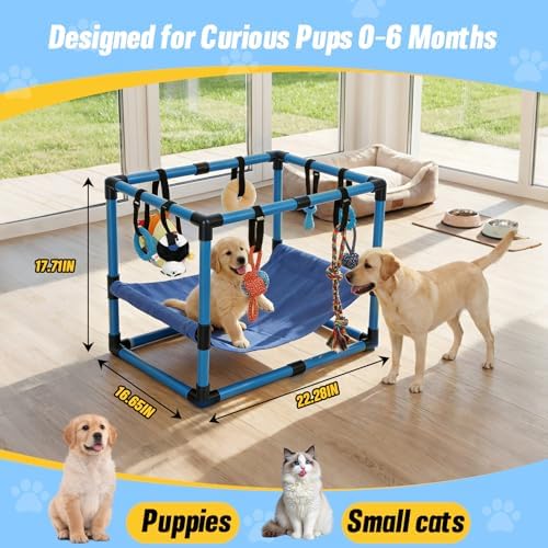 Blue Puppy Play Gym with 8 Hanging Toys