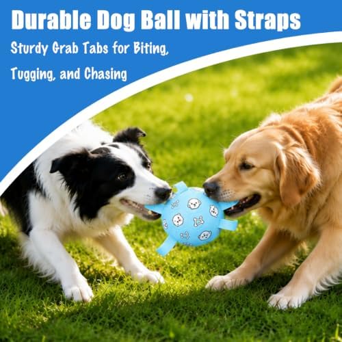Dog Soccer Ball with Straps, 6 Inch Jolly Ball for Medium Dogs