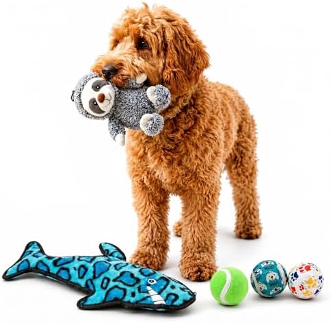 5-Pack Sloth and Shark Dog Squeaky Toys – Interactive Plush Set with 3 Tennis Balls – Durable Enrichment Chew Toys for All Dog Sizes