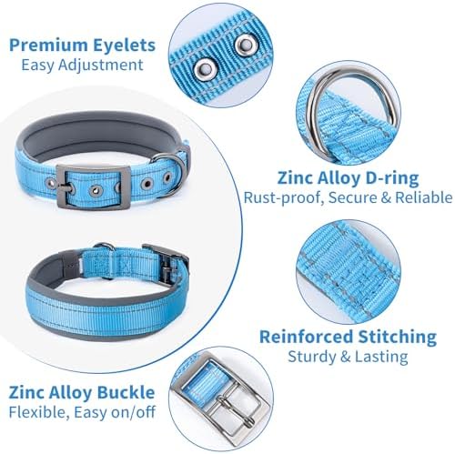 Segarty Reflective Heavy Duty Dog Collar for Medium Dogs, Adjustable Wide Soft Comfortable Breathable Neoprene Padded Nylon Collar with Metal Buckle for Medium Small Breeds (M, Light Blue)