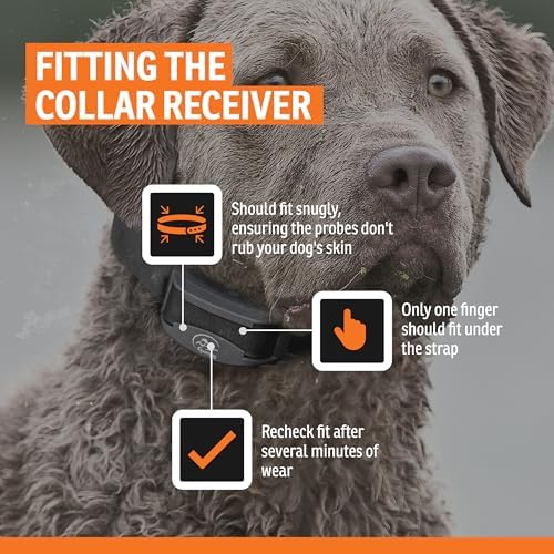 SportDOG NoBark Premium Bark Collar | Silent Partner Bark-Only Detection, Static, 3 Training Modes, Rechargeable, Waterproof, Lightweight, Dogs 8 lb+, 5-22 in