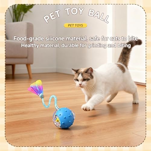 2 Pack Interactive Cat Toy, Auto Chirping Balls, 6 Tails, Indoor Self Play