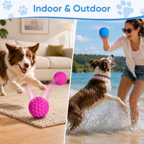 Squeaky Dog Balls Toy 2 Pack, Interactive Dog Toys for Aggressive Chewers, Squeaky Dogs Chew Toy for Medium Large Dogs, Durable Outdoor Dog Puzzle Birthday Toys for Fetch, Chase, and Chew Play