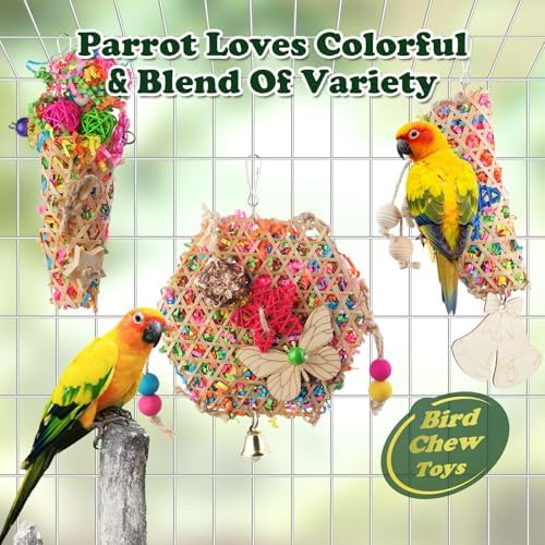 Bird Toys, Parakeet Foraging Toy, Hanging Chewing Toy, Bird Cage Accessories – Suitable for Cockatiels, Budgies, Lovebirds, Conures and Other Small Parrots