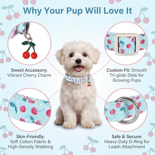 Cherry Dog Collar, Blue Dog Collar for Spring Summer with Quick Release Buckle, Fits Puppy, Small, Female, Male Dogs, Collar with Premium Package, S