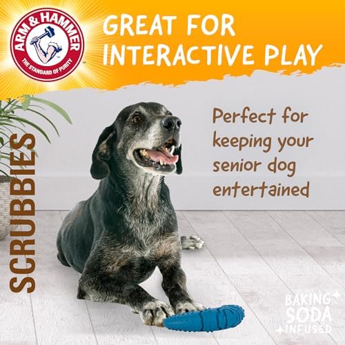 Arm & Hammer Scrubbies Boomerang Rubber Dental Chew Toy, Large, 7 in