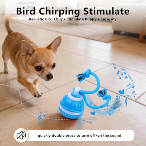 Interactive Dog Toys Ball, 3 Modes & Powerful Motor, Random Movement & Swinging Rope, Bird Chirping Stimulate, USB C Rechargeable for Small Medium Dogs for Boredom, Anxiety Relief