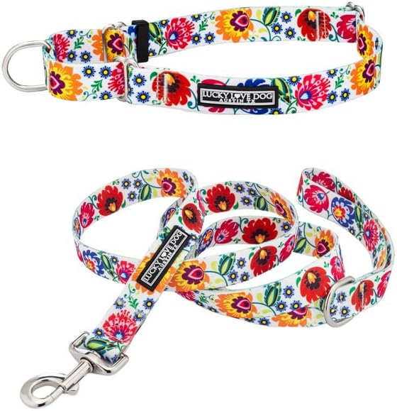 Lucky Love Dog Martingale Collar & Leash Set No Slip – Ladybird, Medium
