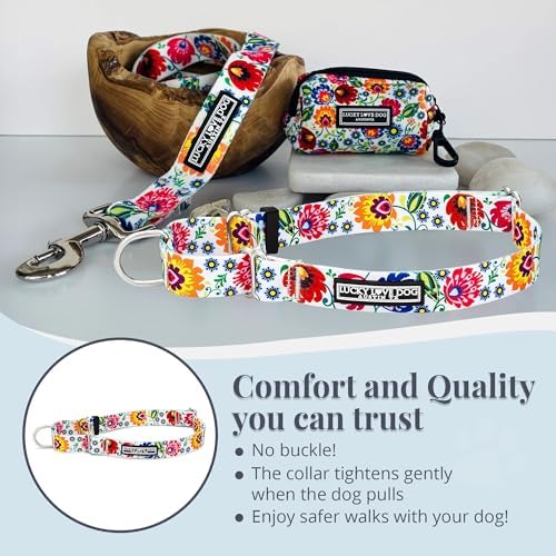 Lucky Love Dog Martingale Collar for Large Dogs No Slip – Ladybird, Large