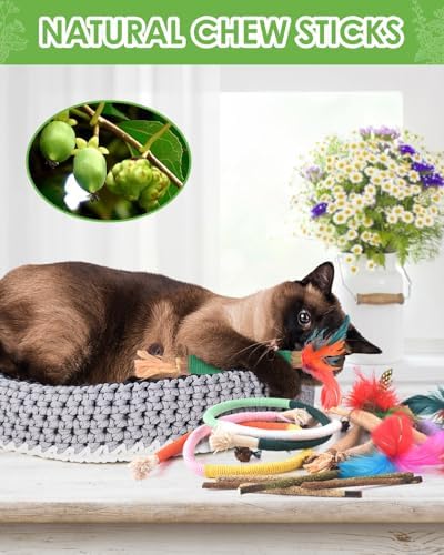 TINDTOP Cat Chew Toys, Silvervine Chew Sticks with 2 Pack Chew Ropes