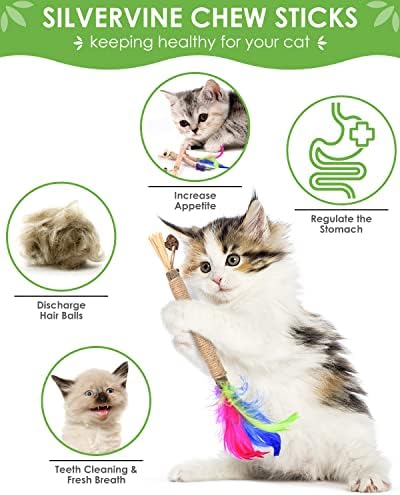TINDTOP Silvervine Sticks for Cats with Natural Feather, Catnip Chew Toys