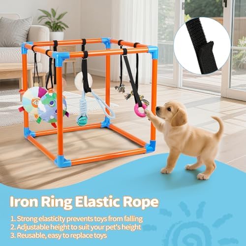 Liitrton Puppy Play Gym for Small Dogs with 8 Hanging Toys, Orange