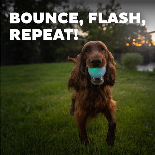 Outward Hound by Planet Dog Strobe Ball Glo Light Up LED Ball Dog Toy