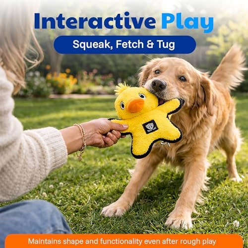American Kennel Club Plush Dog Toy with Squeaker for Moderate Chewers, Soft Stuffed Dog Toy for Tugging, Fetch & Interactive Play, Gentle on Teeth