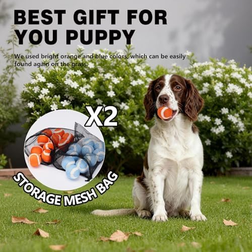 MECOOL Tennis Balls for Dogs 2.0in 20PCS Fetch Interactive Dog Balls Durable Toys for Cleaning Teeth Indoor/Outdoor Playing for Small and Middle Dogs(Blue and Orange)