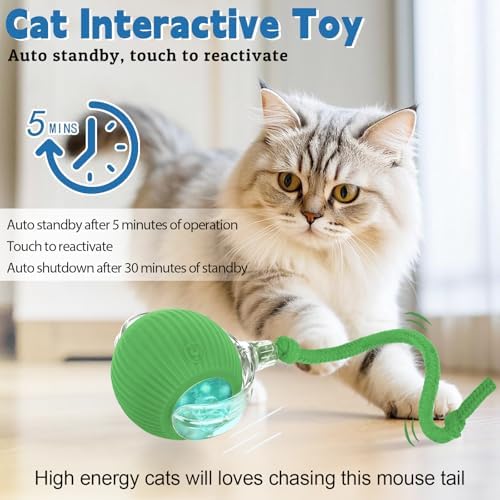 Interactive cat Toys for Indoor Cats, Speedy Tail 3.0 Cat Toy, Motion Activate cat Toy Ball，Automatic Toys for Bored Indoor Cats, Speedy Tail 2.0 Cat Toy, Rechargeabl(Green)