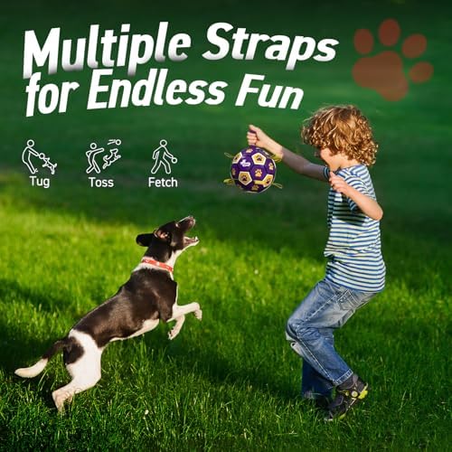 QDAN Dog Balls Toys, Soccer Ball with Straps, Herding Ball Toy, Puppy Toy | 6 Inch Puppy Water Pool Toy, Durable Balls for Dogs for 20-40 lbs Dog, Outdoor Herding Balls for Small Medium Dogs