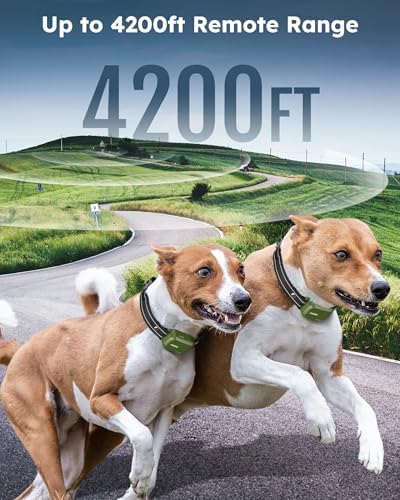 Shock Collar for 2 Dogs with Remote, 4200FT Range, Fits 10-120 lbs (Green)