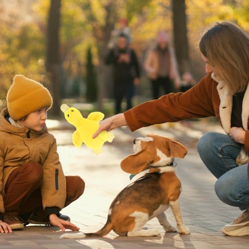 EXPAWLORER Plush Squeaky Duck Dog Toy - Soft Stuffed Small Dog Toys Cute Yellow Duck, Best Birthday Gift Interactive Filled Chew Toys for Puppy Small Medium Dogs Biting Training Teething, 2 Pack