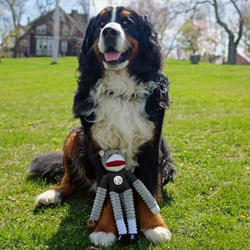 Littlearth NFL Arizona Cardinals Sock Monkey Pet Toy, Team Color, One Size