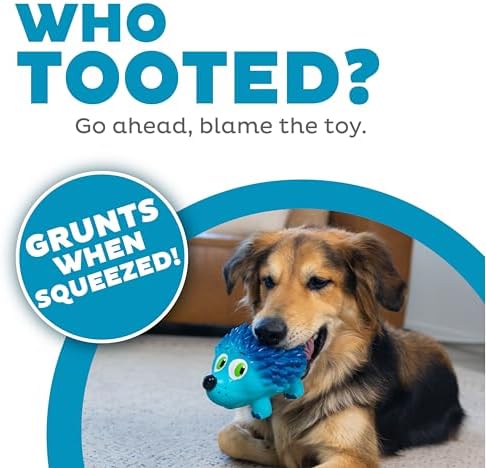 Outward Hound Tootiez Hedgehog Grunting Latex Rubber Dog Toy for Large Dogs, 4" x 7", Squeaky Interactive Dog Toy for Gentle Chewers