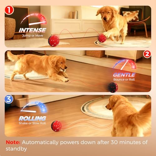 Diman Interactive Dog Ball Toys with Remote Control, E-TPU Material