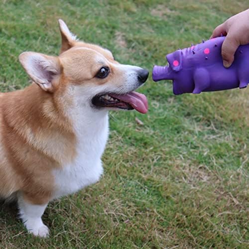 Pig Squeaky Dog Toy, 2 PCS Interactive Rubber Dog Chew Toy - Durable Latex Spot Grunting Pig Toys that Oink for Small Medium Large Dogs (Blue, Purple)