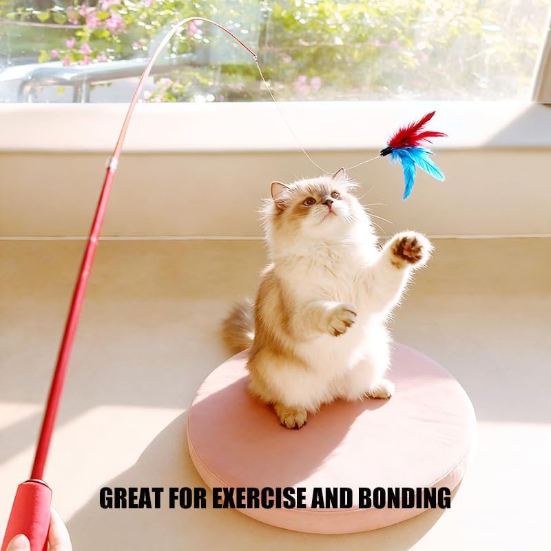Cat Toys Set, 2 Retractable Wand with 9 Feather Toys Refills Catcher and Interactive Funny Exercise for Indoor Kitten