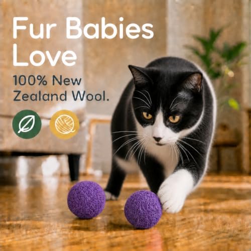 Wool Cat Toys - Felt Cat Toy Balls for Small Pet Fetch and Play - Eco Friendly Quiet Wool Ball Cat Toy for Cats and Kittens - Choose Your Colors 6PCS (Purple)