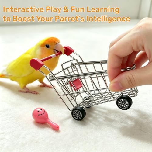DRESSO Bird Toys for Conures, 4 Pcs Parrot Training Toys Set, Interactive Toys for Birds