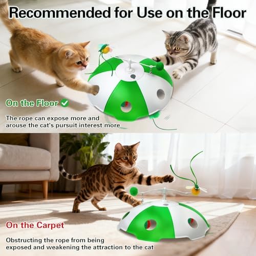 Sofolor Cat Toys Rechargeable, Interactive Cat Toys for Indoor Cats