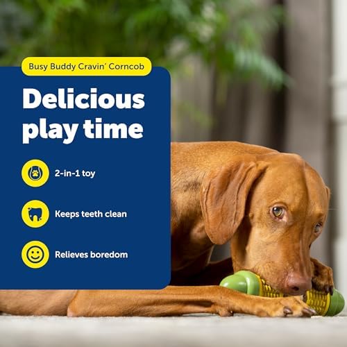 PetSafe Busy Buddy Cravin Corncob Treat Holding Dog Toy, Medium/Large