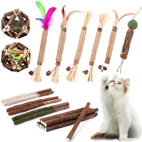 WOUSEDO 24 Pack Catnip Chew Toys with Silvervine Sticks for Cats