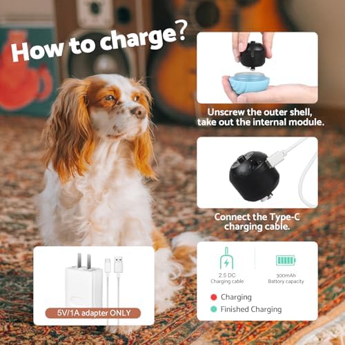 Interactive Dog Toys, [2026 Latest] Smart Dog Balls, 4 Movement Modes, Durable TPU Material, Motion Activated Automatic Moving Rolling Ball for Small/Medium/Large Dogs