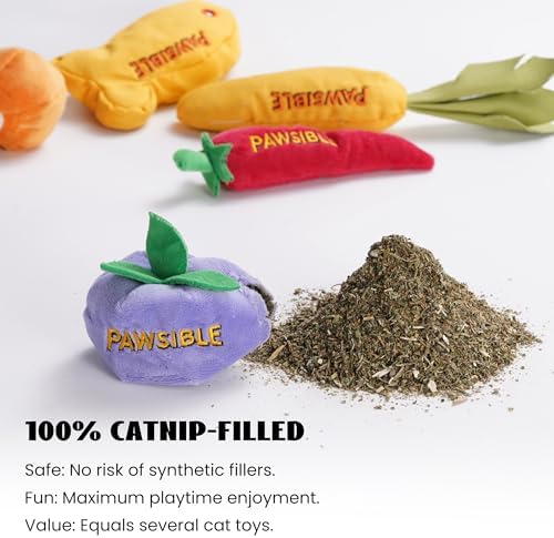 Pawsible 5 Pack Catnip Toys for Indoor Cats - 100% Organic Catnip Filled, No Cotton, Durable Teething Kicker Toys for Kittens, Food-Shaped Plush Chew Toys