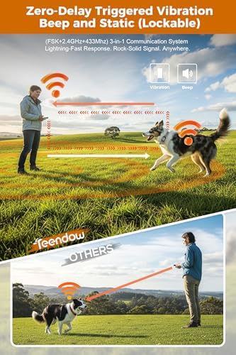 Teendow Wireless Fence for Dogs, Dog Perimeter Collar Wireless Fence with Remote Control, Waterproof & Rechargeable Dog Fence, HD Display, Outdoor Use