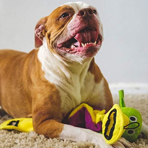 SmartPetLove Snuggle Puppy Tender-Tuffs Tug Dog Toy, Plush Platypus