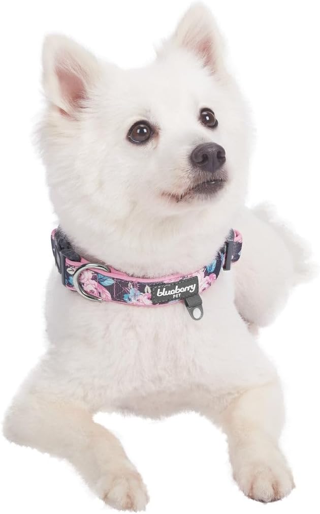 Blueberry Pet Floral Prints Neoprene Padded Dog Collar, Pink Rose, Adjustable Dog Collar for Small Dogs, Size Small, Neck 12-16”