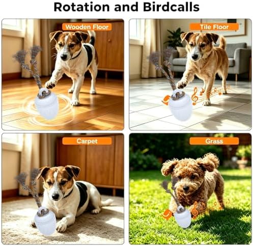 Interactive Dog Ball Toy for Medium & Large Dogs, Automatic Moving Dog Toy with Bird Sounds and Rope, USB Rechargeable Smart Ball with Fast & Slow Modes, 500mAh Dog Enrichment Toy