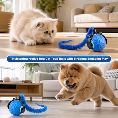 ZUAMEGUCat Toys for Indoor Cats - Interactive Rolling Ball