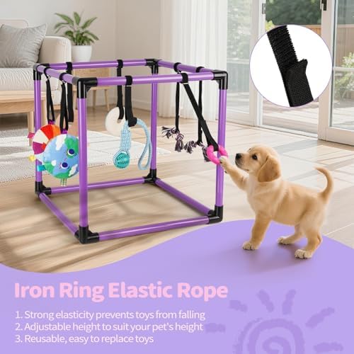Liitrton Puppy Play Gym for Small Dogs with 8 Hanging Toys, Purple