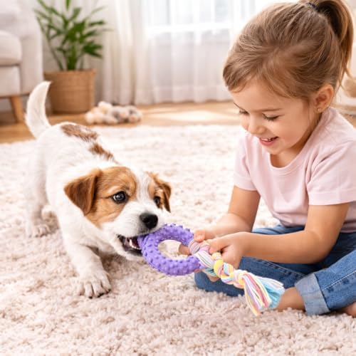 Puppy Chew Toys, 6 Pack Puppy Teething Toys for Small Breed, Soft Rubber Cute Purple Dog Toys, Eco-Friendly, Teeth Cleaning Interactive for Small Dogs (Basket not Included)