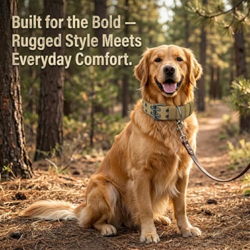 Tactical Nylon Dog Collar with Heavy-Duty Double-Hole Buckle, Breathable Anti-Choke Padding for Medium, Large, Extra Large Dogs - Include Smart Tag Case & 2 Sticky Patches