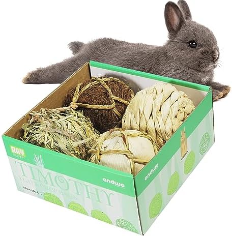 andwe Small Animals Play Balls Rolling Chew Toys, Pack of 4